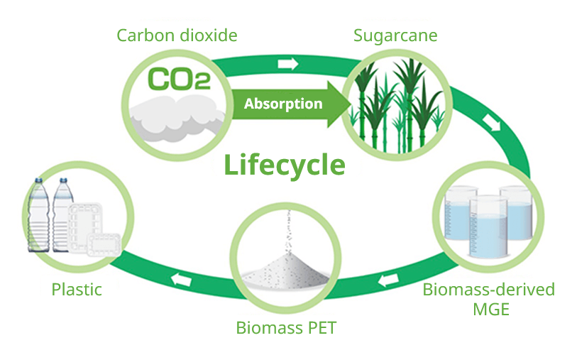 Biomass PET resin